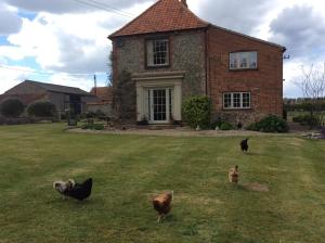 The building where the bed & breakfast is located 