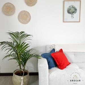 a white couch with red and blue pillows and a plant at Andean Homes in La Paz