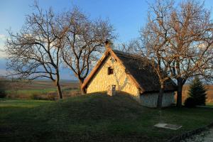 Galeriebild der Unterkunft Dióliget - Diófácska Présház in Lovasberény