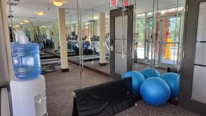 Fitness centrum a/nebo fitness zařízení v ubytování ⭐️ Luxury Mountain View Studio in Canmore ⭐️