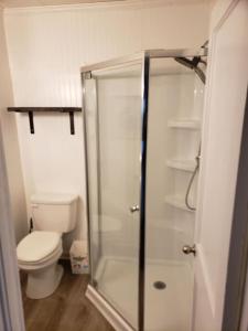 a bathroom with a toilet and a glass shower at Kure Beach Cottage-Fully Updated--1 block- welcome dogs for modest fee in Kure Beach