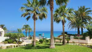 a park with palm trees and the ocean in the background at Apartamento La Menia - Cabo Roig in Orihuela Costa