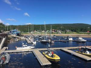 a group of boats docked in a harbor at Hotel - Motel Georges in Tadoussac