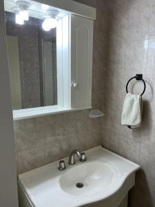 W łazience znajduje się umywalka i lustro. w obiekcie Alojamiento temporal La Josefina w mieście Tandil