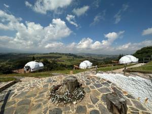 a view of two domes with a group of flowers at Glamping Altos De Hayuelos in Paipa