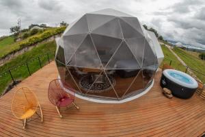 Glamping Altos De Hayuelos外面的花园