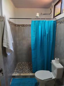 a bathroom with a blue shower curtain and a toilet at Casa Tangara in San Isidro de El General