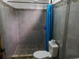 y baño con ducha, aseo y cortina de ducha azul. en Casa Tangara, en San Isidro