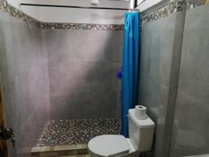 a bathroom with a shower with a toilet and a blue shower curtain at Casa Tangara in San Isidro de El General