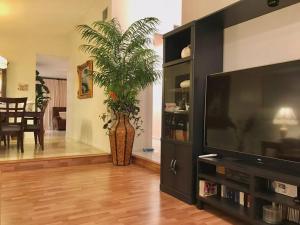 TV a/nebo společenská místnost v ubytování Pool House in Tropical Miami