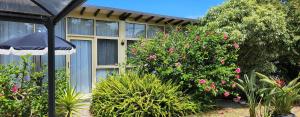 un jardin avec des fleurs roses et un bâtiment dans l'établissement Peninsula Beach Motel, à Rosebud