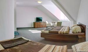 ウヘルスケー・フラジシュチェにあるPenzion Na Dlouhéのベッド2台とテレビが備わる屋根裏部屋です。