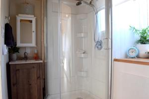 a shower with a glass door in a bathroom at The Bluebirds Nest in Dufrost