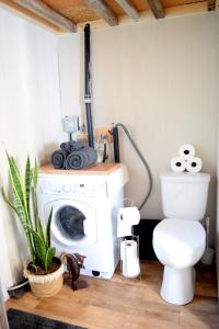 a bathroom with a washing machine and a toilet at The Bluebirds Nest in Dufrost