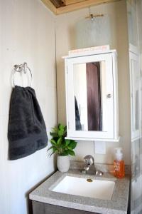 La salle de bains est pourvue d'un lavabo et d'un miroir. dans l'établissement The Bluebirds Nest, à Dufrost