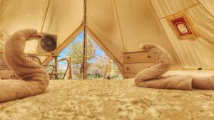 a pair of tentacles laying on a bed in a tent at Glamping Dunas del sol in San Pedro de Atacama