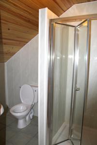 a bathroom with a toilet and a glass shower at Woodview House Bed and Breakfast in Ballinrobe