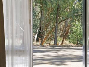 an open window with a view of a road with trees at Wilpena Pound Resort in Flinders Ranges
