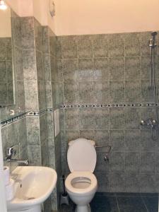 ein Bad mit einem WC und einem Waschbecken in der Unterkunft Indigo Villas in Pismenovo