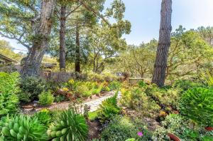 a garden with lots of plants and trees at 3891 Robert R Jones House home in Carmel