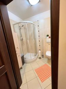 a bathroom with a shower and a toilet at Apartament Villa Concha in Świnoujście
