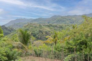 uma vista para uma floresta com montanhas ao fundo em Batang Golden Hills em Nusa Penida