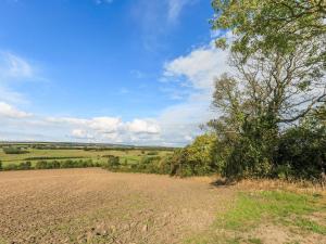 ein Feld mit einem Baum in der Mitte eines Feldes in der Unterkunft Old Hall Cottage No 1 in Byers Green