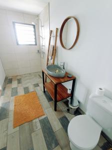 ein Badezimmer mit einem Waschbecken, einem WC und einem Spiegel in der Unterkunft La VILLA MAHOT in Petite Île