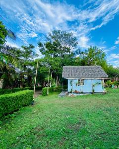 ein kleines blaues Haus auf einem Rasenplatz in der Unterkunft Pai Casita in Pai