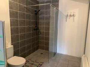 La salle de bains est pourvue d'une douche et de toilettes. dans l'établissement Chambre-Studio en rez-de-jardin, à Ytres