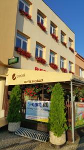 a hotel with plants in front of a building at Hotel Morava in Jevíčko