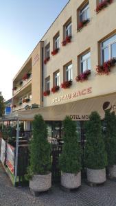 a hotel with potted trees in front of a building at Hotel Morava in Jevíčko