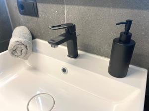 a sink with a faucet and a soap dispenser on it at Apartments Loim Lodge in Dürnstein