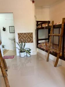 Babu Backpackers inn في موالبوال: غرفة مع سريرين بطابقين ونبات الفخار