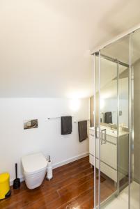 y baño con aseo y cabina de ducha de cristal. en Ambassador River View Suites, en Lisboa