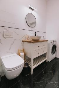 トルンにあるApartament Słonecznyのバスルーム(トイレ、洗面台、洗濯機付)