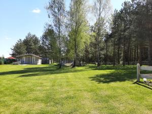 ein Park mit einer Bank auf einem Feld mit Bäumen in der Unterkunft Osada Wejsuny in Ruciane-Nida