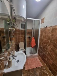 a bathroom with a sink and a shower and a toilet at Apartment Niko in Senj