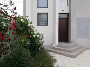un bâtiment avec des fleurs rouges et blanches et une porte dans l'établissement Veronika Home Tbilisi, à Tbilissi