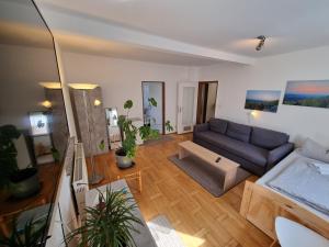 sala de estar con sofá y mesa en Ferienwohnung Dietel, en Zell im Fichtelgebirge