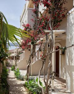 un bâtiment avec des fleurs rouges sur son côté dans l'établissement Mila Malia Studios Hotel, à Mália