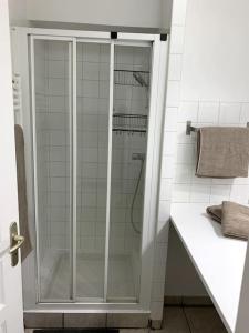 a shower with a glass door in a bathroom at Gîte des Anciennes Salines Nationales in Montmorot