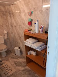 a bathroom with a toilet and a shelf with towels at Konstantina’s House in Paleo Tsifliki +31 photos