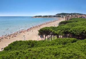 a beach with a lot of people in the water at Mediterranea in La Pineda