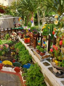 A garden outside Konstantina’s House