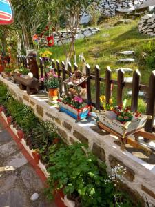 A garden outside Konstantina’s House