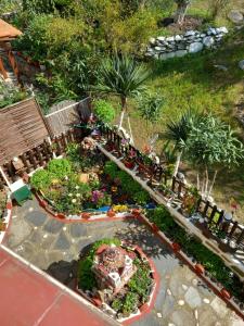 A garden outside Konstantina’s House