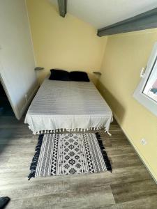een slaapkamer met een bed met een tapijt op de vloer bij maison résidence privé in Cap d'Agde