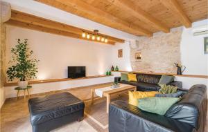 uma sala de estar com sofás de couro e uma televisão em Nice Home In Zminj With Wifi em Žminj