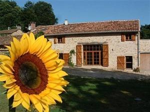 un grand tournesol jaune devant une maison dans l'établissement Paul's Barn in France, à Nantiat